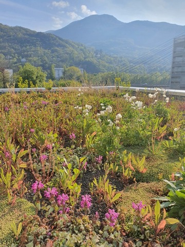 Ecole primaire, Aguessac 12