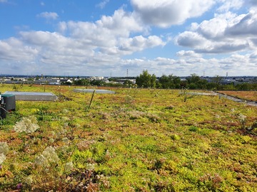 Centre de déminage, CORBAS 69