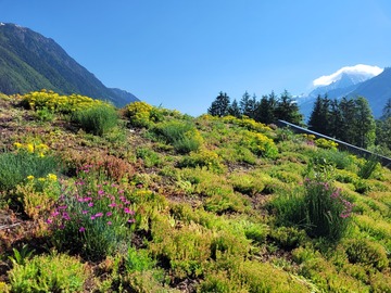 Chalet Air BNB, LES HOUCHES 74