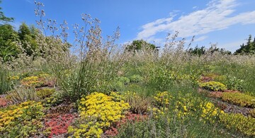 Chalets de Maramour, CHAZEY-SUR-AIN 01