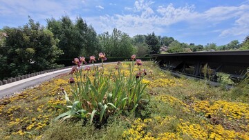 Crèche des Crayons verts, ST DIDIER DE FORMANS 01