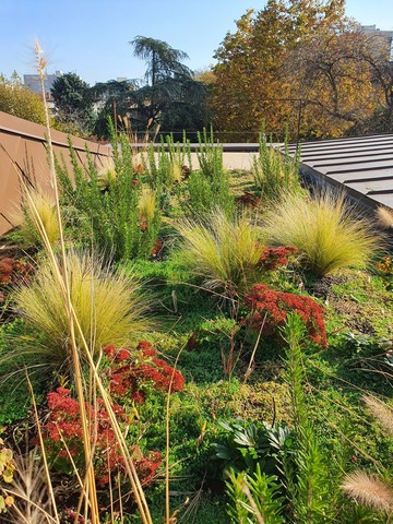 Ecole Louis Pasteur, VILLEURBANNE 69