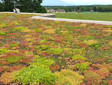 Maison Contemporaine, SAUVERNY 01