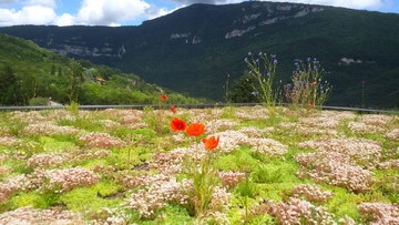 Maison Particulière, TENAY 01