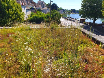 Médiathèque, TREVOUX 01
