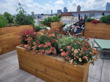 Terrasse d'un Cabinet de Notarial, VILLEURBANNE 69