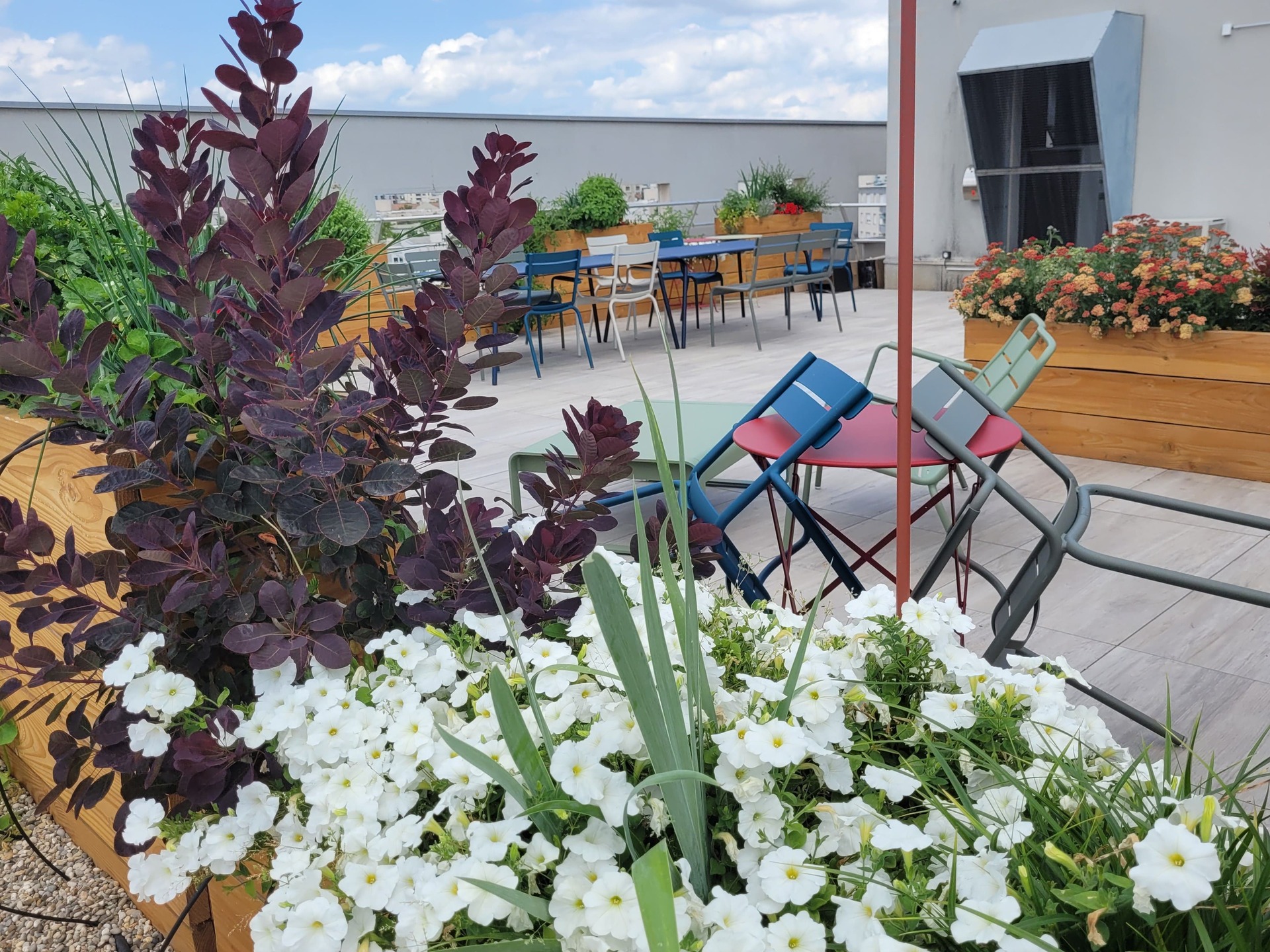 Votre paysagiste à Lyon spécialiste de la toiture végétale, l'aménagement de terrasse et la vente de graines pour toiture végétalisée
