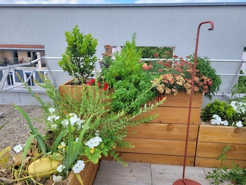 Aménagement de terrasses