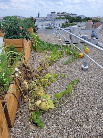 Aménagement de terrasses