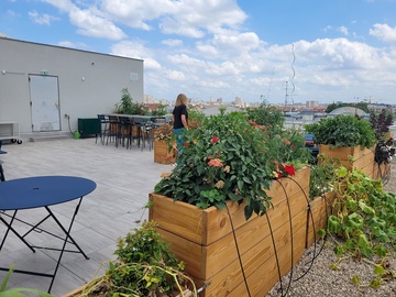 Aménagement de terrasses