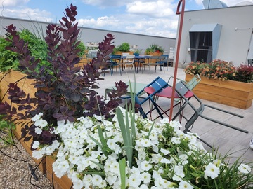 Aménagement de terrasses