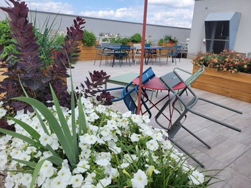Aménagement de terrasses