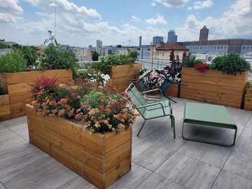 Aménagement de terrasses