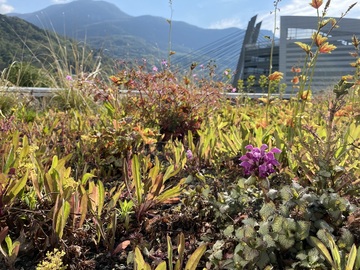 Biodiversité