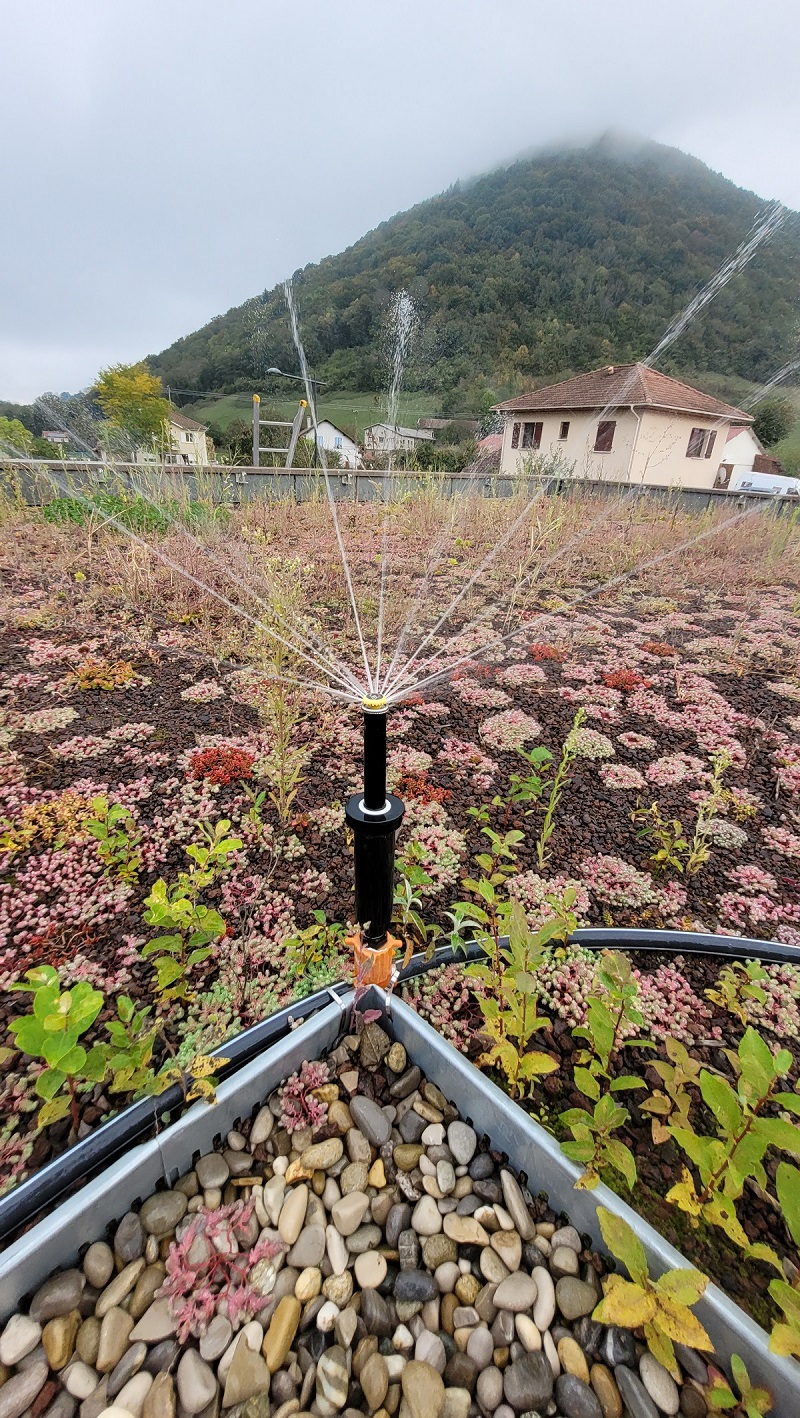 Système d'arrosage de toit végétal