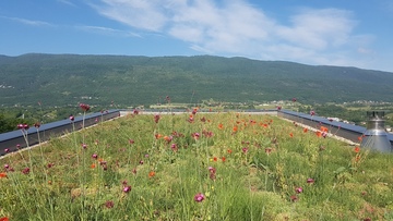 Le toit végétal qui améliore votre habitat
Contactez-nous